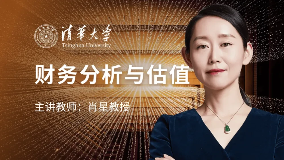 肖星财务分析与估值实战课