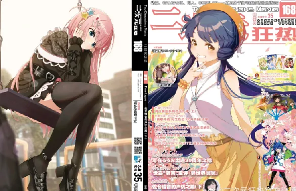 动漫期刊:《二次元狂热》《动感新时代》《绝对领域》合集下载