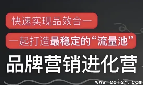 品牌营销进化营