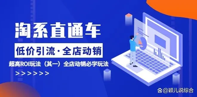 淘系电商直通车低价引流与全店动销ROI提升课程