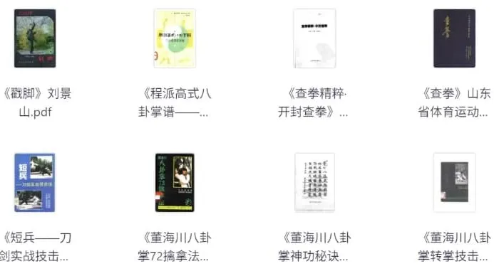 图片[1]-武术类书籍合集-