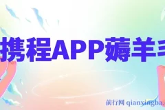 携程APP薅羊毛，外面卖1980的冷门赛道，矩阵月入1.5w