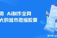 利用Ai制作全网爆火的城市微缩胶囊，条条爆款，多平台分发，疯狂涨粉变…