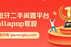 西班牙二手闲置平台Wallapop教程，手把手教你做跨境电商