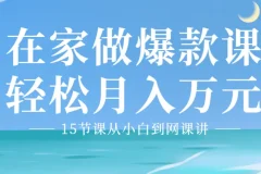 15节课从小白到网课讲师,教你从0到1，在家做爆款网课，轻松月入万元