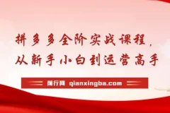 【精】拼多多全阶实战课程，从新手小白到运营高手，海量实战玩法+全年实时更新