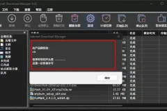 IDM下载器(Internet Download Manager)官方最新版永久激活工具和绿色版