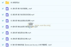 高中化学 2025-2026年高一化学 王瑾 秋季班