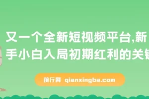 全新短视频平台，疑似巨头之作，新手小白入局初期红利的关键