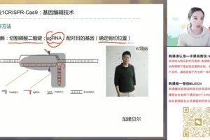 2024高考马阳洋生物二轮冲刺班·稳态与生态专题