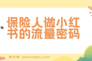 保险人做小红书的流量密码，Get保险展业新技能，从0到1手把手带你起飞
