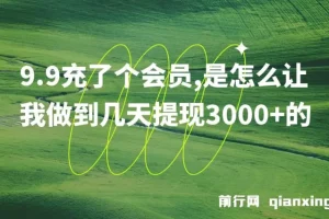 9.9充了个会员，是怎么让我做到几天提现3000+的