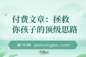 付费文章：拯救你孩子的顶级思路，彻底聊透他的学业、事业、未来，含金量满满