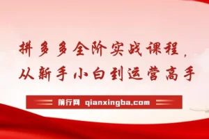【精】拼多多全阶实战课程，从新手小白到运营高手，海量实战玩法+全年实时更新