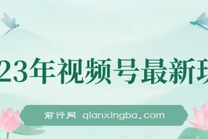 美食类视频号带货