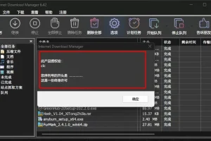 IDM下载器(Internet Download Manager)官方最新版永久激活工具和绿色版