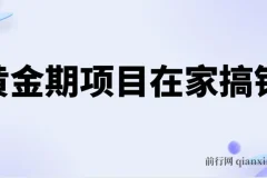 黄金期项目，电商搞钱！一个人，一部手机，在家可做，每天收入500+