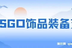 CSGO饰品装备交易,2024年最佳副业项目,  轻易操作
