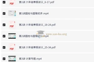 小学数学 6年级数学 刘庆涛 寒假