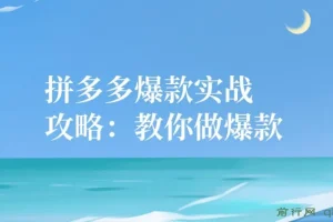 拼多多爆款实战攻略：教你做爆款