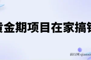 黄金期项目，电商搞钱！一个人，一部手机，在家可做，每天收入500+