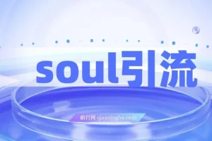 Soul引流创业粉野路子方法，交友平台均可引日均300+，无需剪视频写文案