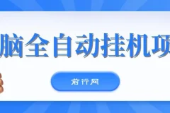 无脑全自动挂机项目，单账号利润150＋！可批量矩阵操作