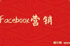 Facebook营销实战：从注册到发布，掌握潜在客户开发技巧与再营销策略