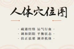 最全的高清人体穴位图以及穴位图解大全