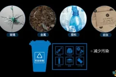 乐乐课堂生物大百科191集动画视频课程，轻松掌握生物知识