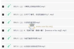 小学语文 馒头大语文伴读 · 六年级（上+下）