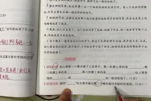 三年级阅读理解62篇精讲+真题训练