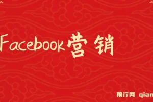 Facebook营销实战：从注册到发布，掌握潜在客户开发技巧与再营销策略