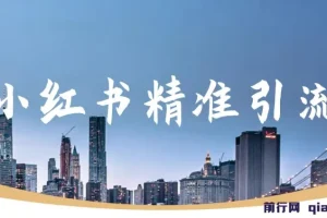 小红书精准引流，减肥、祛痘、创业粉单人日引100+