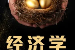 一平方公里内的经济学 完结