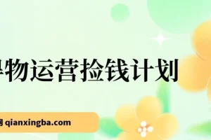 得物运营捡钱计划，简单无脑执行，轻松实现日入200-500+