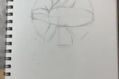 阿妹老师零基础绘画课：动漫素描艺术创作三合一