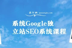 系统Google独立站SEO系统课程