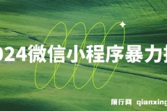 2024微信小程序暴力挂机，过年什么待遇就看这一下！可矩阵，日入2000+不是梦！