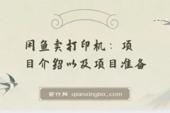 2024闲鱼卖打印机，月入3万2024最新玩法