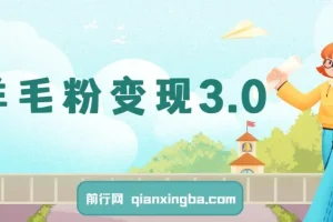 羊毛粉变现3.0 全网独家引流方式，小白轻松上手