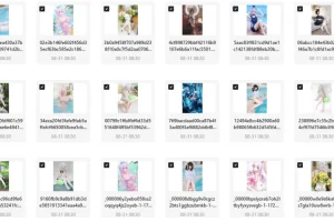 【B站妹子【禾兮子幻夏集-泳夏奇遇】付费收藏集】