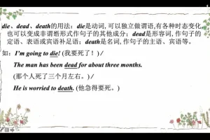 2024盖老师英语语法119讲：从零基础到精通