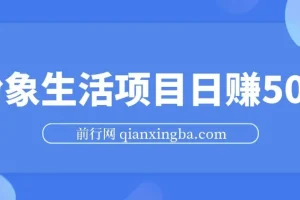 粉象生活项目日赚500