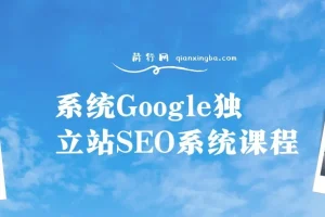 系统Google独立站SEO系统课程