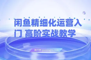 【精】闲鱼精细化运营入门+高阶实战教学，闲鱼卖货整体运营思路，零成本零风险轻创业电商项目