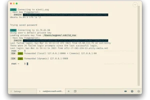 跨平台终端神器 | Tabby v1.0.208 绿色中文版