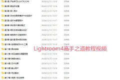 Lightroom4高手之道教程视频