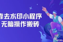 去水印小程序+拼多多无脑搬砖 ， 保姆级教程 可放大批量操作