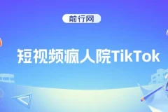 短视频疯人院TikTok